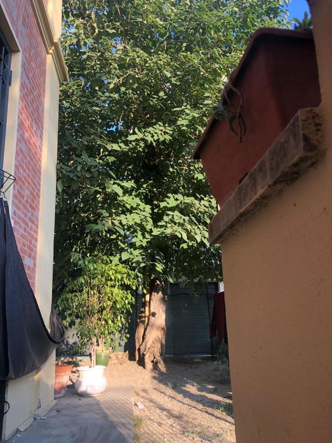 Daro Apartments بولونيا المظهر الخارجي الصورة